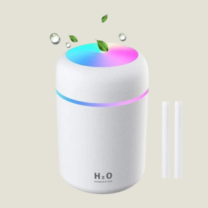 H2O Humidifier